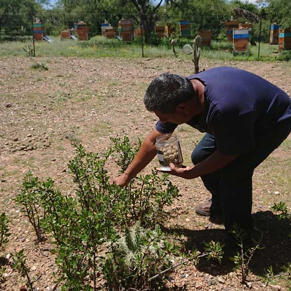 Free Template by uicookies.com