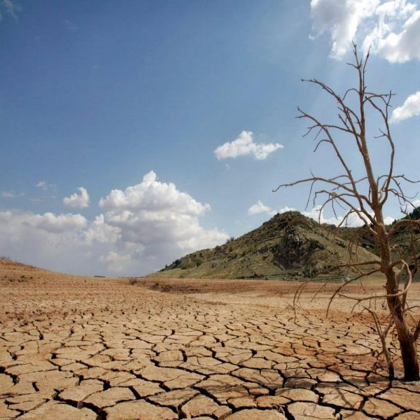 Free Template by uicookies.com