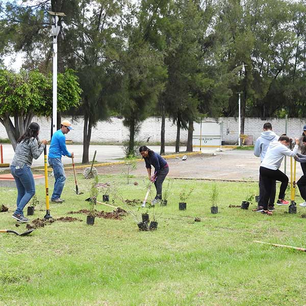 Free Template by uicookies.com