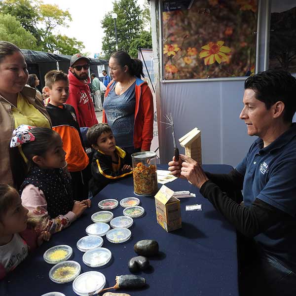 Free Template by uicookies.com