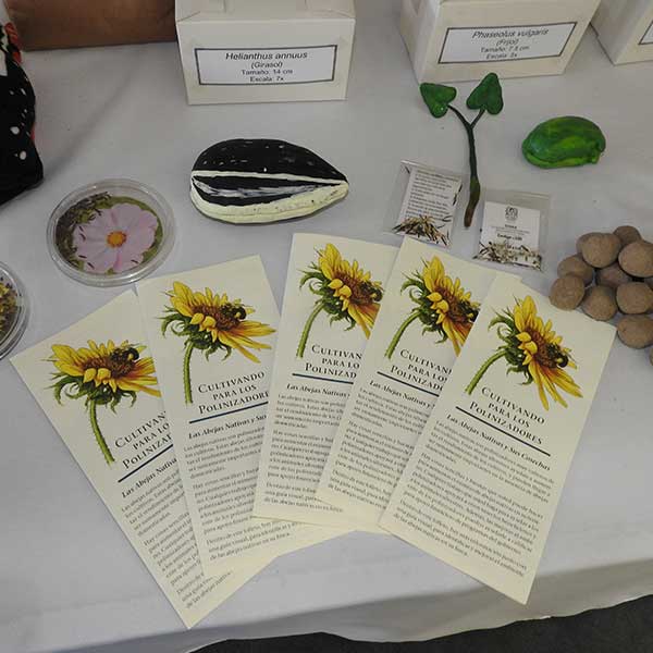 Free Template by uicookies.com