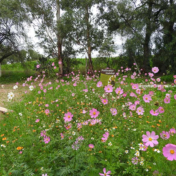 Free Template by uicookies.com