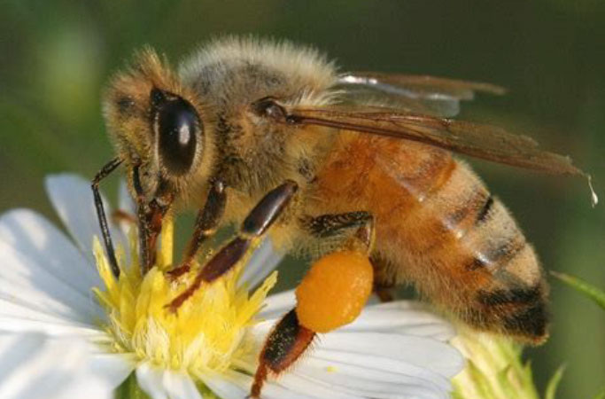 Free Template by uicookies.com