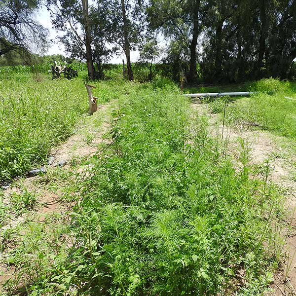 Free Template by uicookies.com