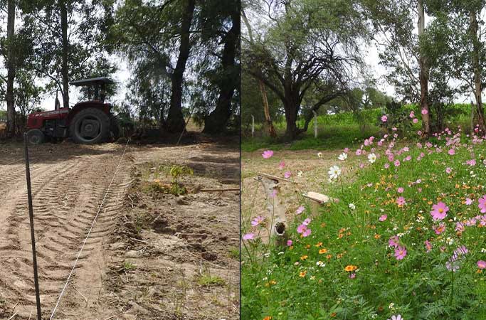 Free Template by uicookies.com