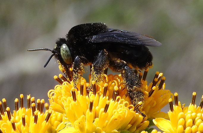 Free Template by uicookies.com