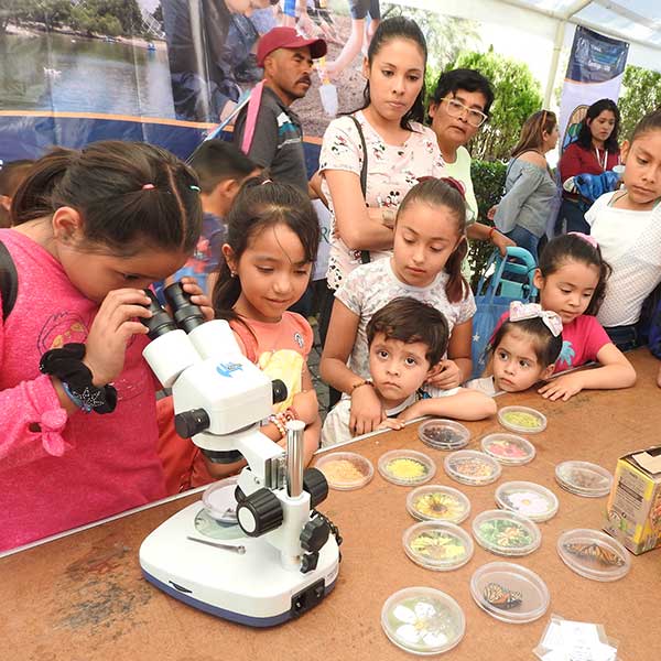 Free Template by uicookies.com