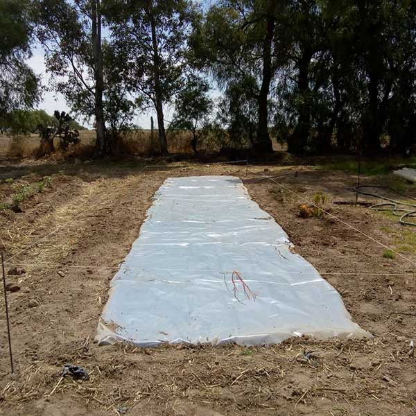 Free Template by uicookies.com